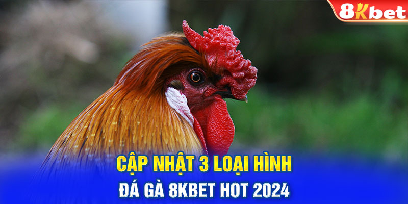 Cập nhật 3 loại hình đá gà 8KBET hot 2024